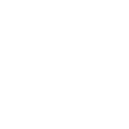 Paddle