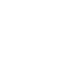 shopping-bags